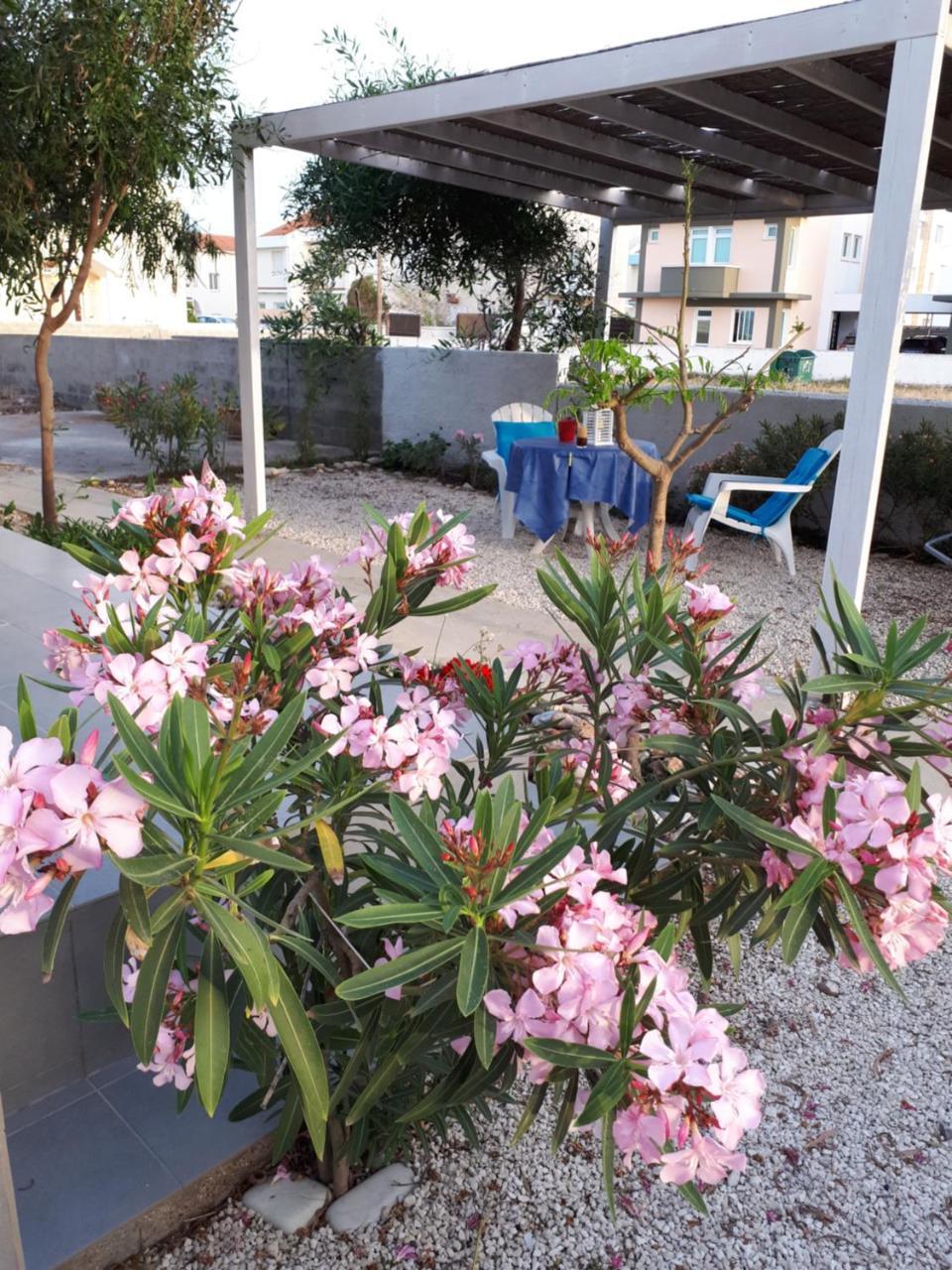 Cozy Beach House Perivolia Luaran gambar